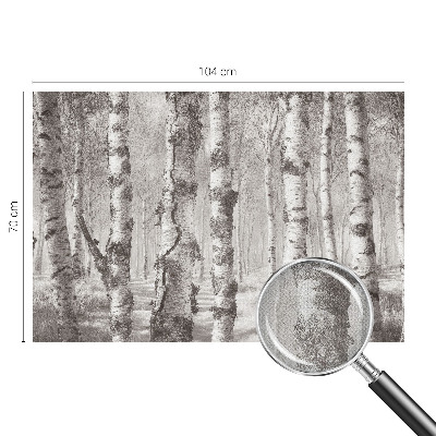 3D fototapet Björkskog