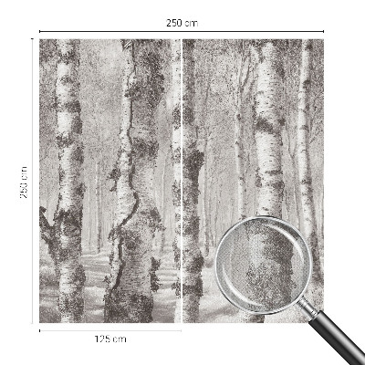 3D fototapet Björkskog