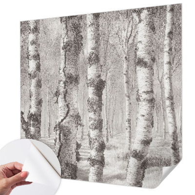 3D fototapet med motiv av en björkskog