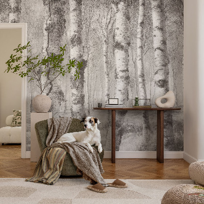 3D fototapet Björkskog