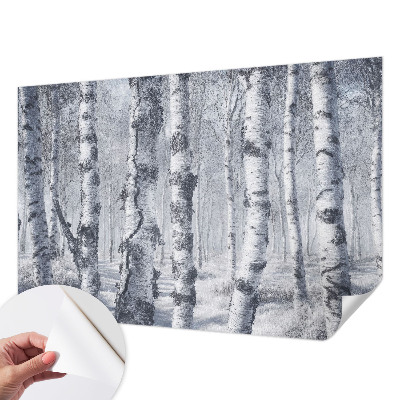 Fototapet barn med frostigt naturmotiv