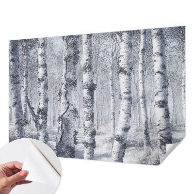 Fototapet barn med frostigt naturmotiv