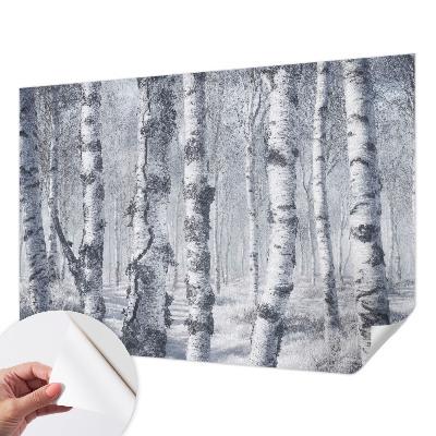 Fototapet barn med frostigt naturmotiv