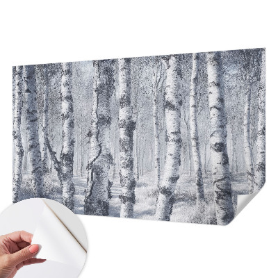 Fototapet barn med frostigt naturmotiv