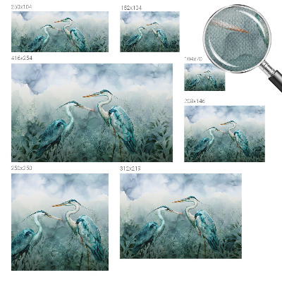3D fototapet med motiv av naturens fåglar