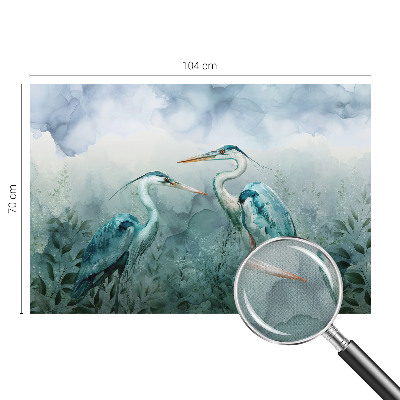 3D fototapet med motiv av naturens fåglar