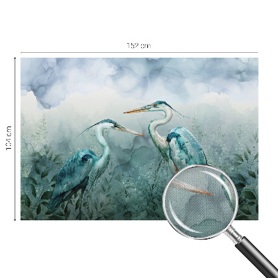 3D fototapet med motiv av naturens fåglar