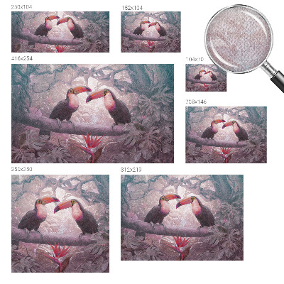 Självhäftande fotovägg Exotiskt par