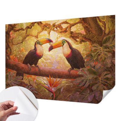 Peel and stick fototapet Färgglada tukaner