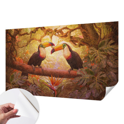 Peel and stick fototapet Färgglada tukaner