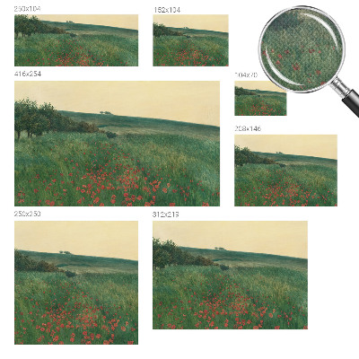 Självhäftande fotovägg Vallmofält