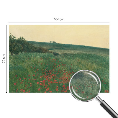 Självhäftande fotovägg Vallmofält