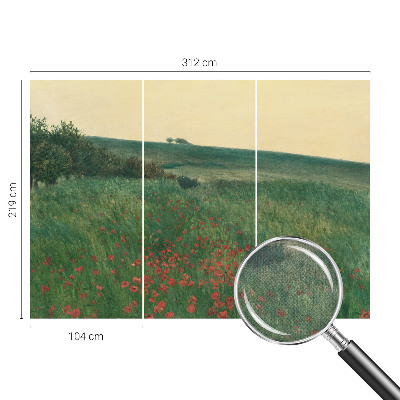 Självhäftande fotovägg Vallmofält