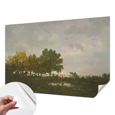 3D fototapet med motiv av ett skogslandskap