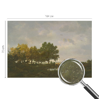 3D fototapet Skogslandskap