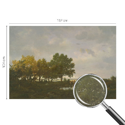 3D fototapet Skogslandskap