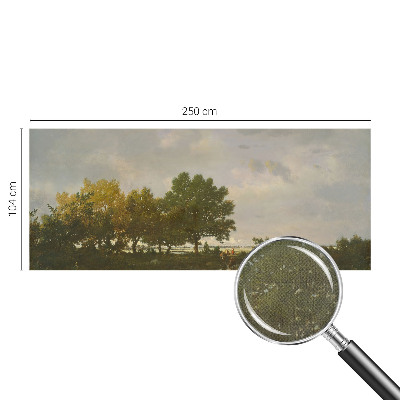 3D fototapet Skogslandskap