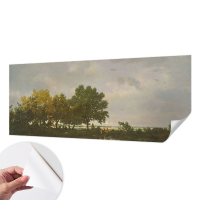 3D fototapet med motiv av ett skogslandskap