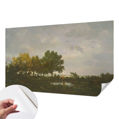 3D fototapet med motiv av ett skogslandskap