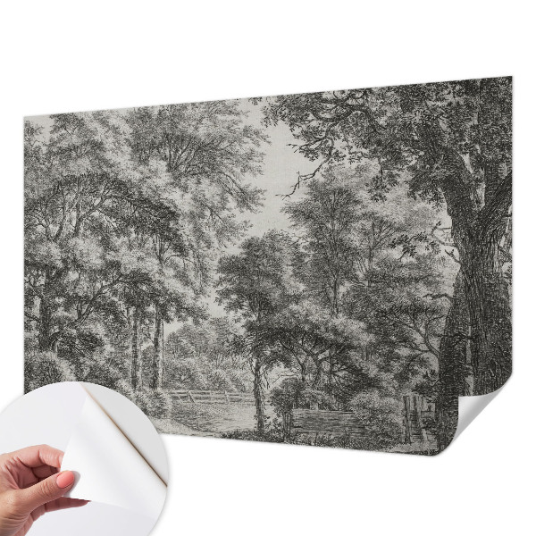 Självhäftande fotovägg med motiv av ett skogslandskap