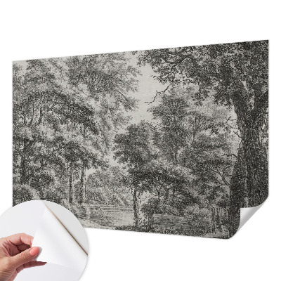 Självhäftande fotovägg med motiv av ett skogslandskap