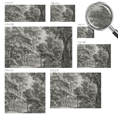 Självhäftande fotovägg med motiv av ett skogslandskap