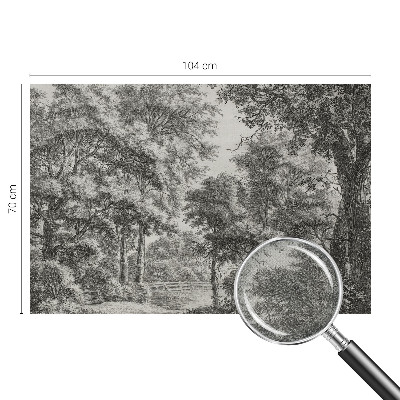 Självhäftande fotovägg Skogslandskap