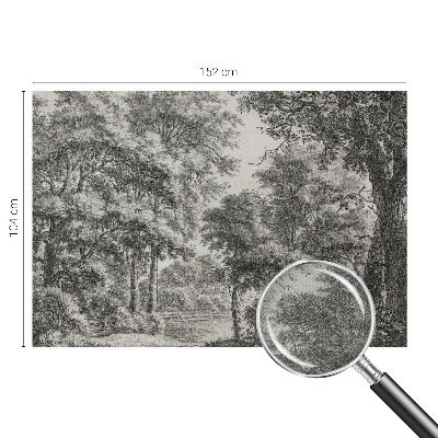 Självhäftande fotovägg Skogslandskap