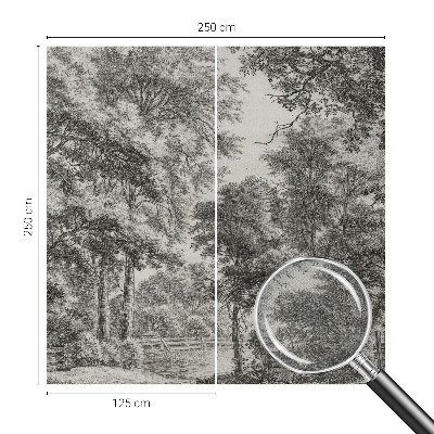 Självhäftande fotovägg Skogslandskap