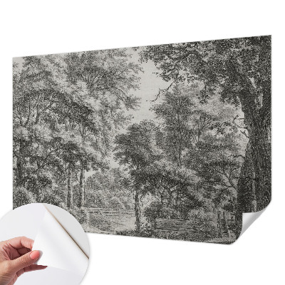 Självhäftande fotovägg med motiv av ett skogslandskap
