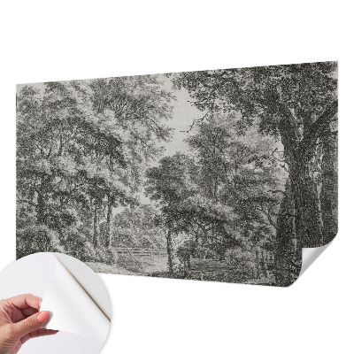 Självhäftande fotovägg med motiv av ett skogslandskap