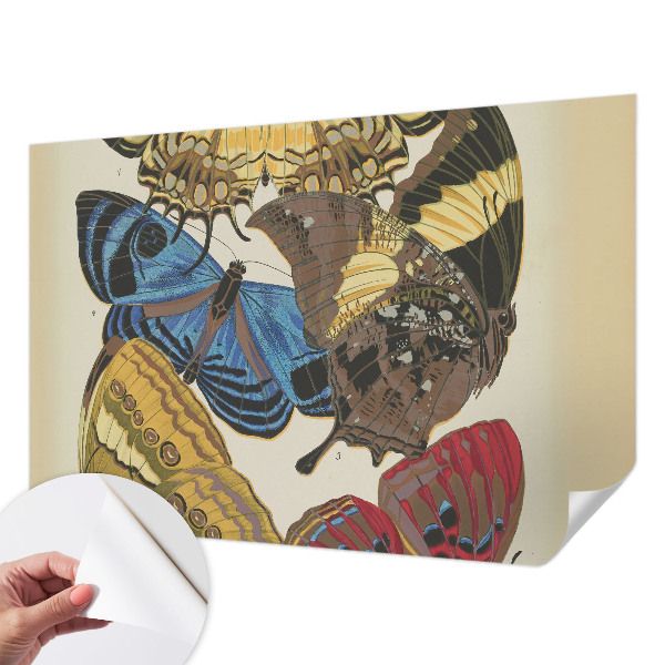 Självhäftande fotovägg Inspiration med fjärilar