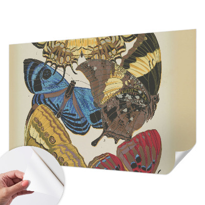 Självhäftande fotovägg Inspiration med fjärilar