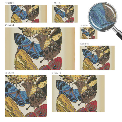 Självhäftande fotovägg Inspiration med fjärilar