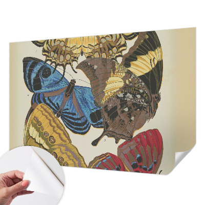 Självhäftande fotovägg Inspiration med fjärilar