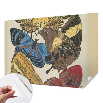 Självhäftande fotovägg Inspiration med fjärilar