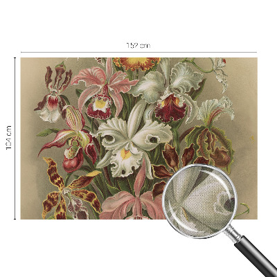 Peel and stick fototapet Blommig elegans