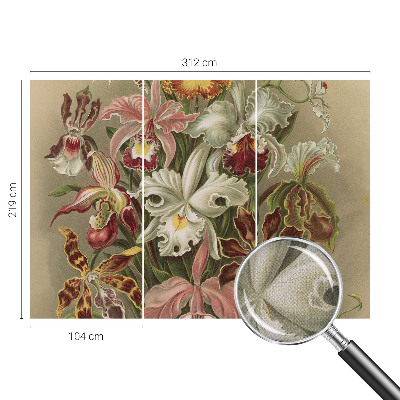 Peel and stick fototapet Blommig elegans