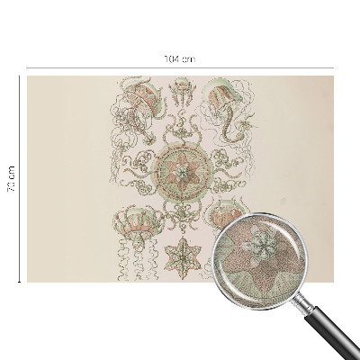 Fototapet barn Undervattensvärlden