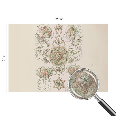 Fototapet barn Undervattensvärlden