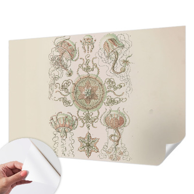 Fototapet barn Undervattensvärlden