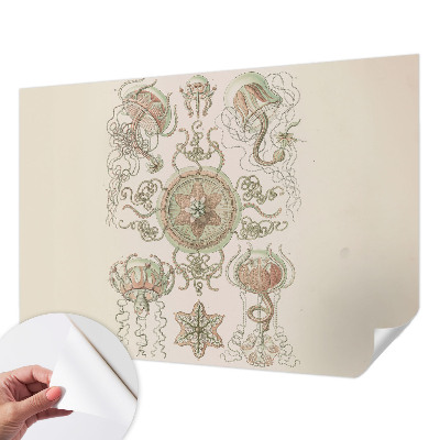 Fototapet barn Undervattensvärlden