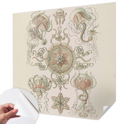 Fototapet barn Undervattensvärlden