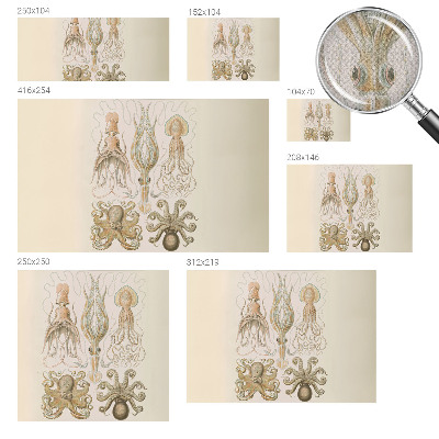 Fototapet barnrum Havsliv