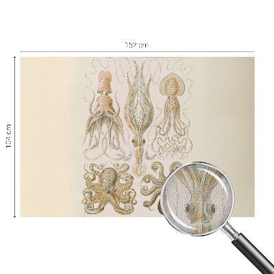 Fototapet barnrum Havsliv