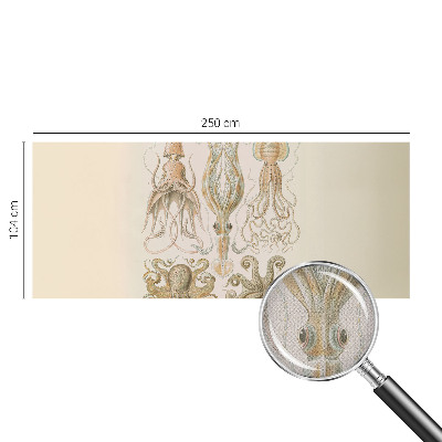 Fototapet barnrum Havsliv