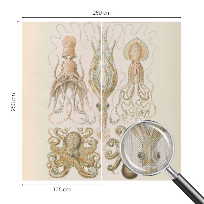 Fototapet barnrum Havsliv