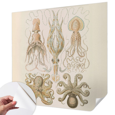 Fototapet barnrum Havsliv