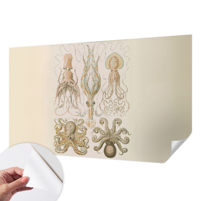 Fototapet barnrum Havsliv