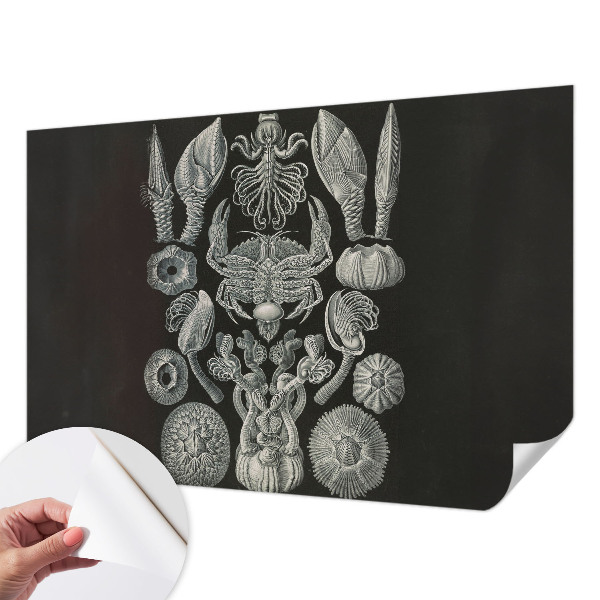 Fototapet för barn Undervattensformer